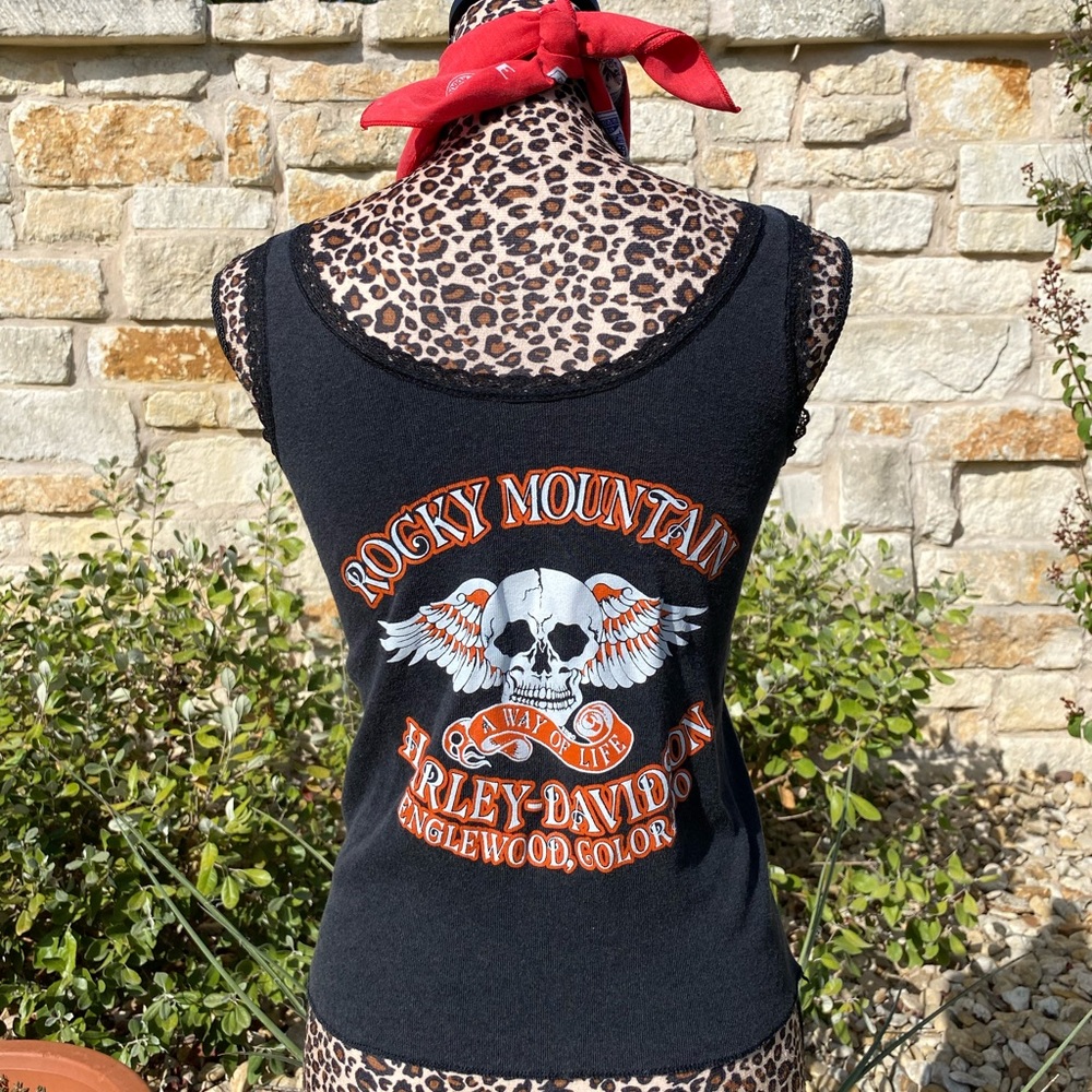 Vintage Harley Davidson tank. Rocky Mountain. Colorado!